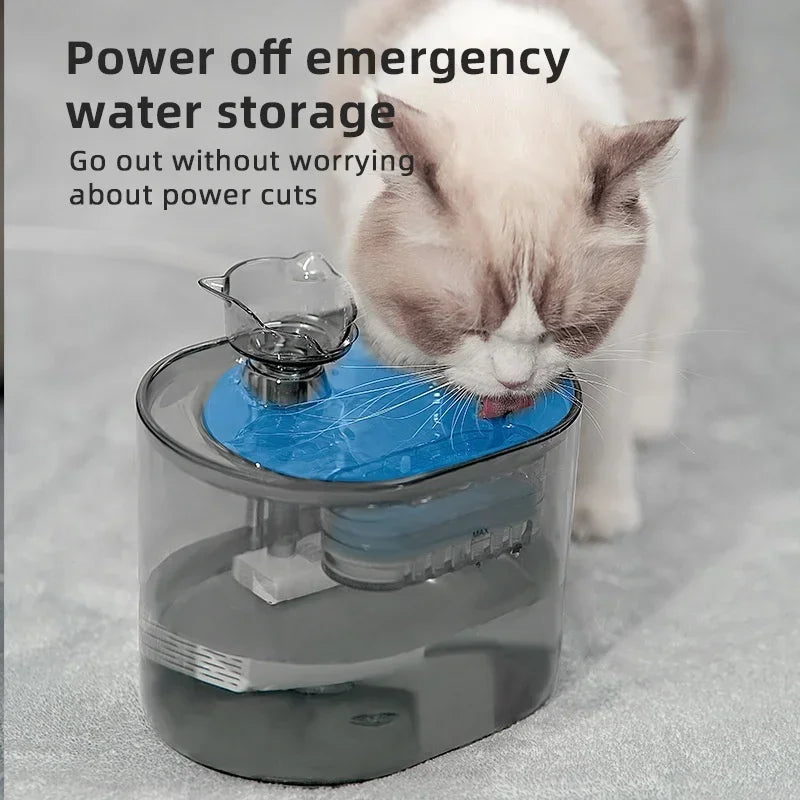 Fontaine à Eau Automatique pour animaux