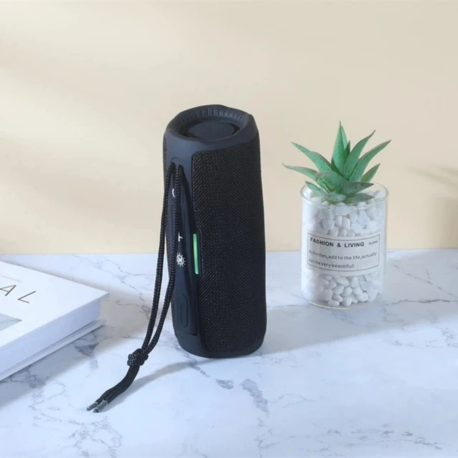 Enceinte Bluetooth Portable