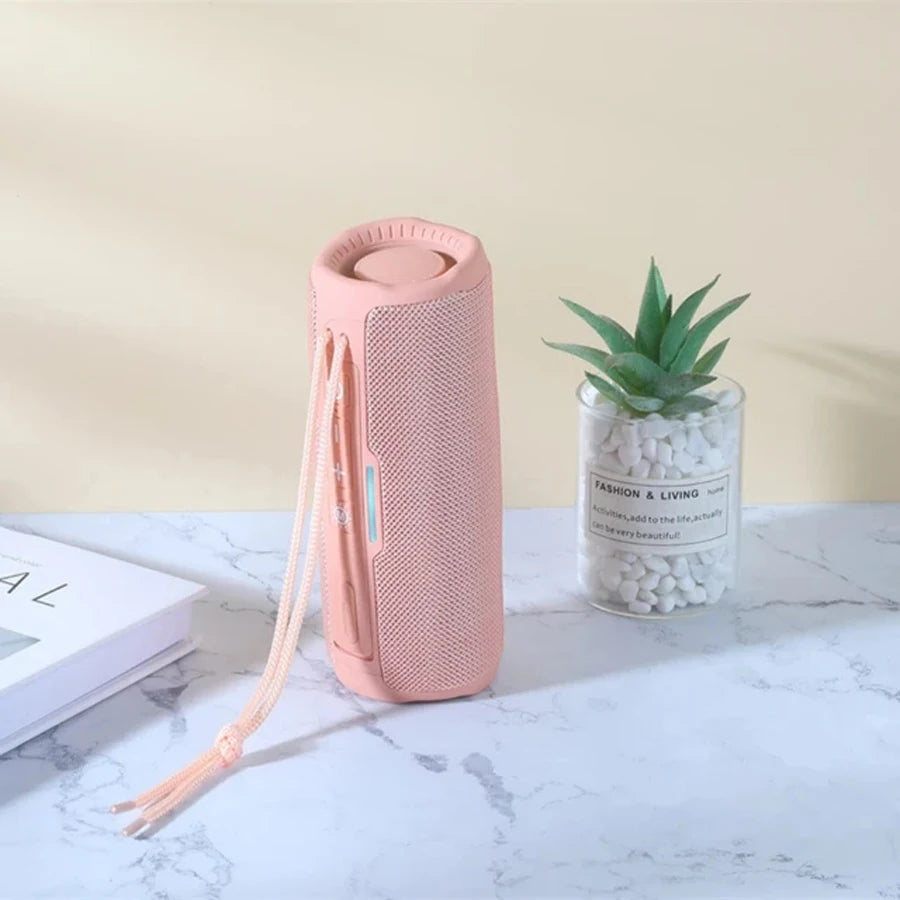 Enceinte Bluetooth Portable
