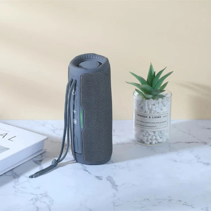 Enceinte Bluetooth Portable