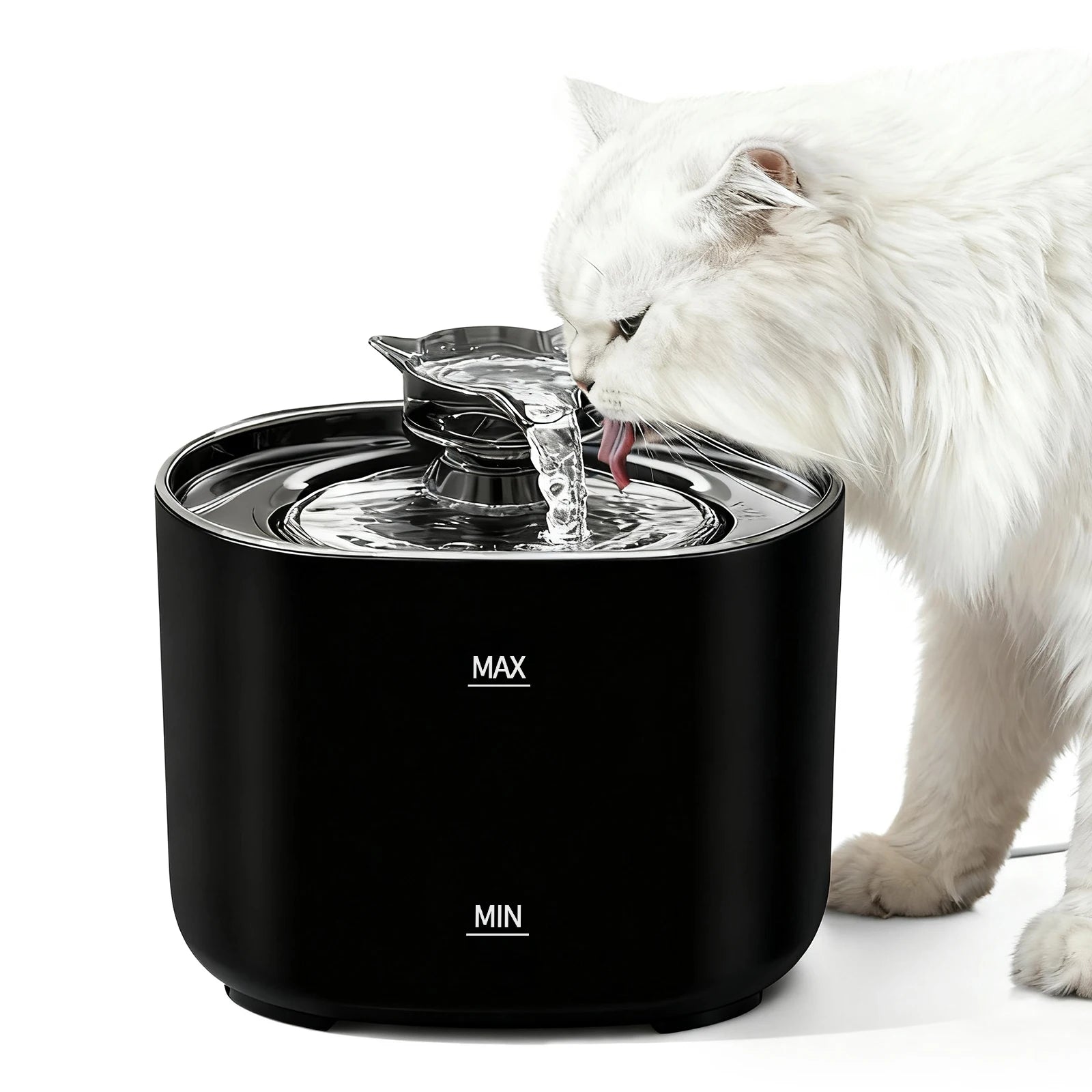 Fontaine à Eau Automatique pour animaux