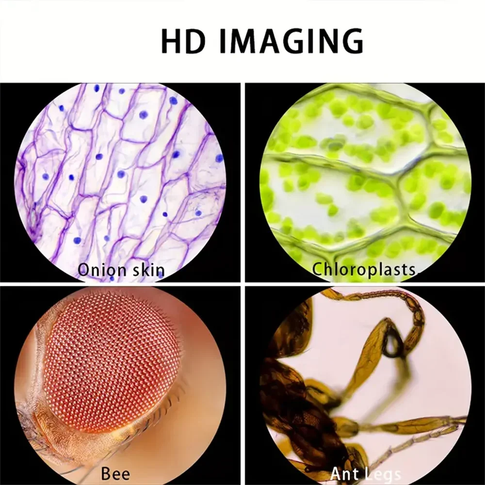 Microscope Scientifique Portable