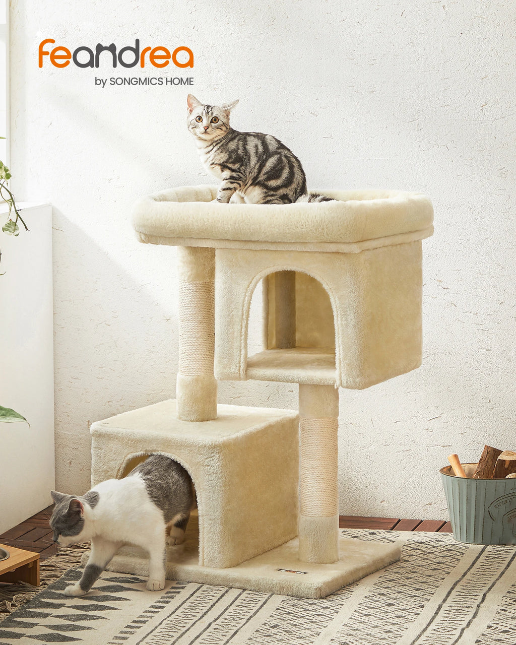 Arbre à Chat