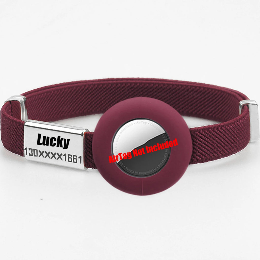 Collier pour Chat airtag