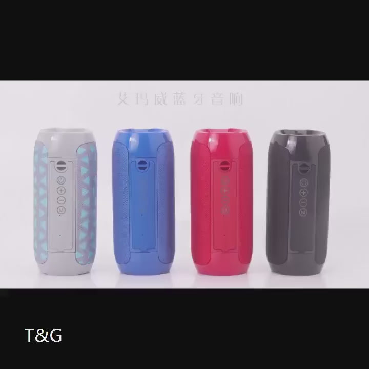 Enceinte Bluetooth Portable